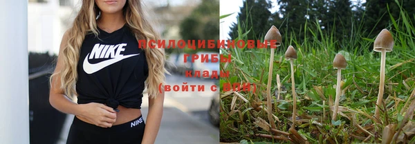 mdpv Пролетарск
