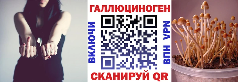 Галлюциногенные грибы Psilocybe  как найти закладки  Орехово-Зуево 